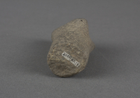 Columbia%20River%20artist%2C%20%3Cb%3E%3Ci%3E%20Fragment%20of%20a%20Carved%20Animal%20Head%3C%2Fi%3E%3C%2Fb%3E%2C%20pre-contact%2C%20basalt%2C%20Gift%20of%20George%20E.%20and%20Jerry%20A.%20Marshall%20in%20memory%20of%20George%20A.%20and%20Helen%20B.%20Marshall%2C%20no%20known%20copyright%20restrictions%2C%202000.67.14